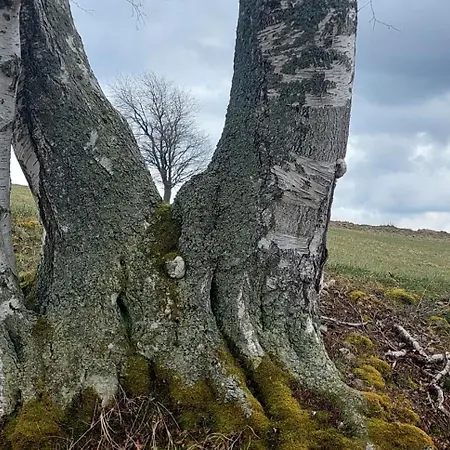 Klose 3* Kubova Huť